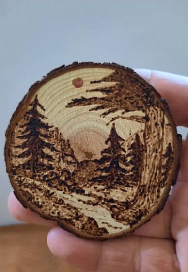Wood Burning Pyrography Art Workshop 2