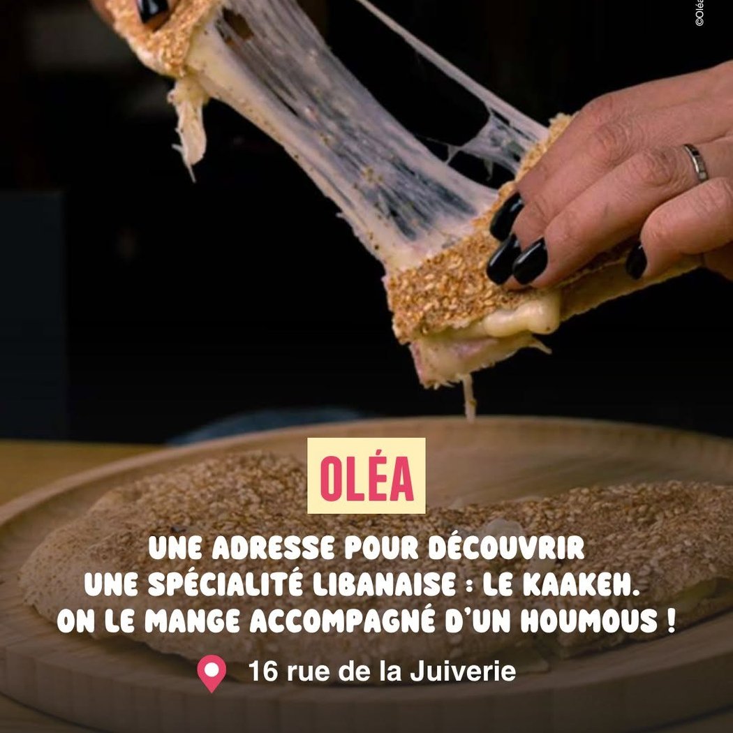 Olea 1