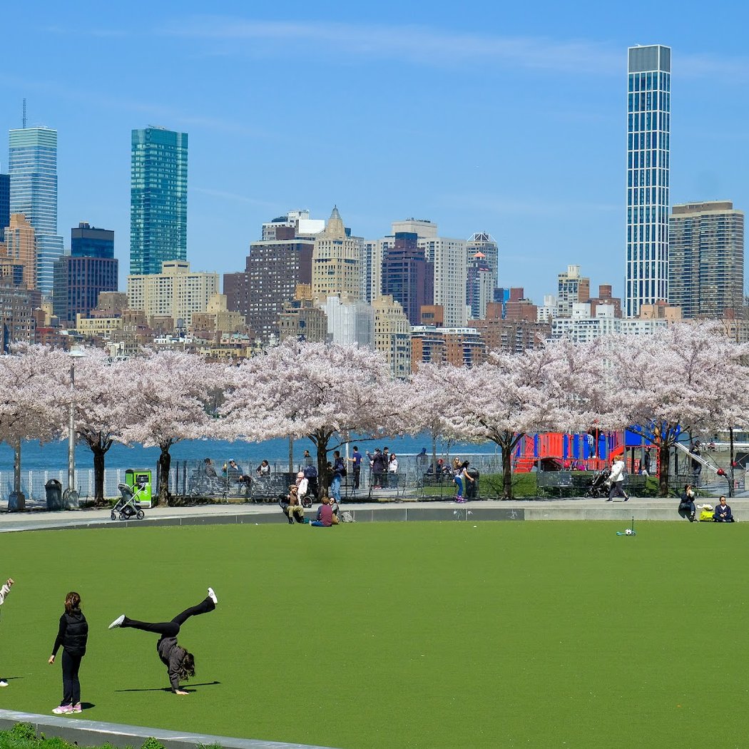 It’s My Park 2