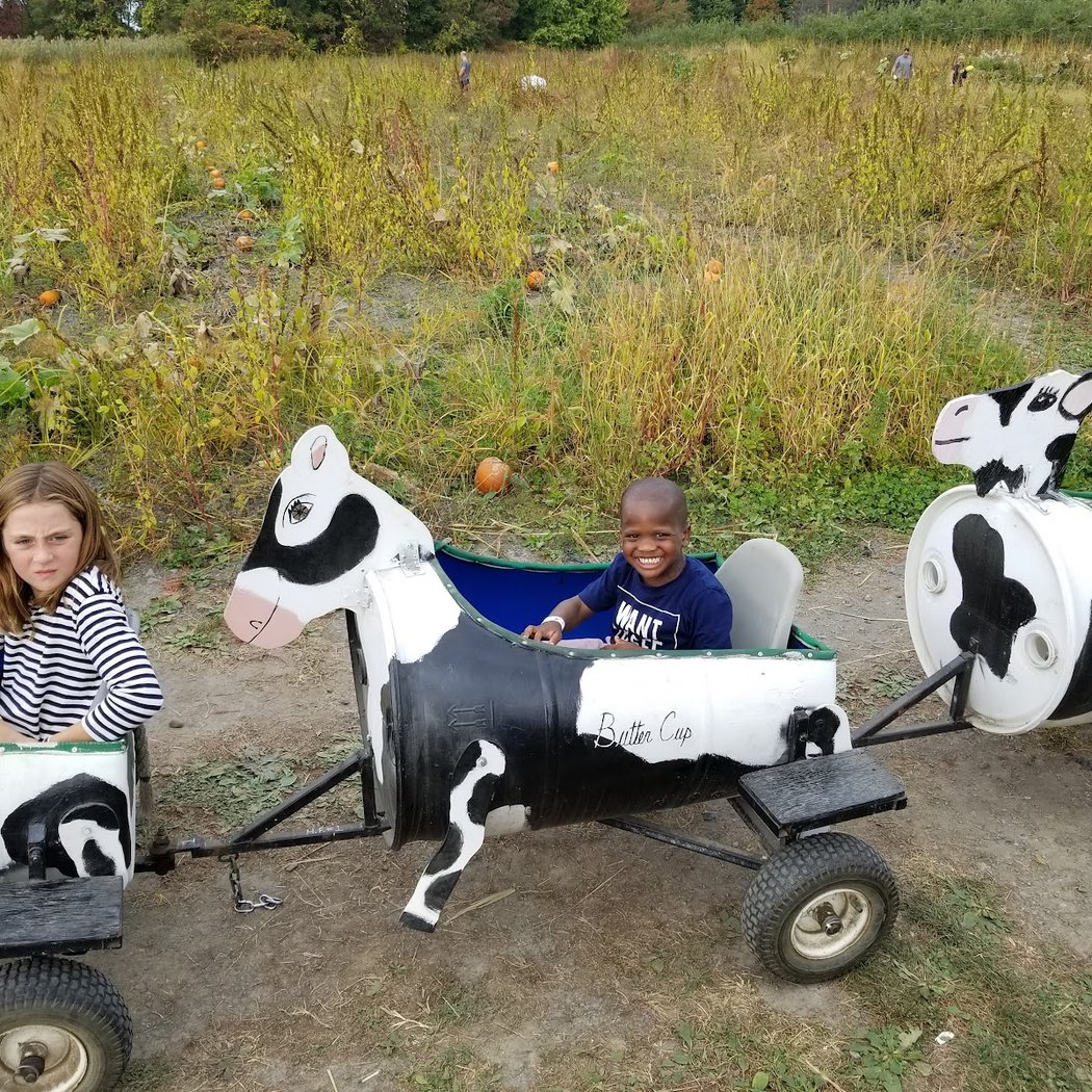 Harvest Festival 2