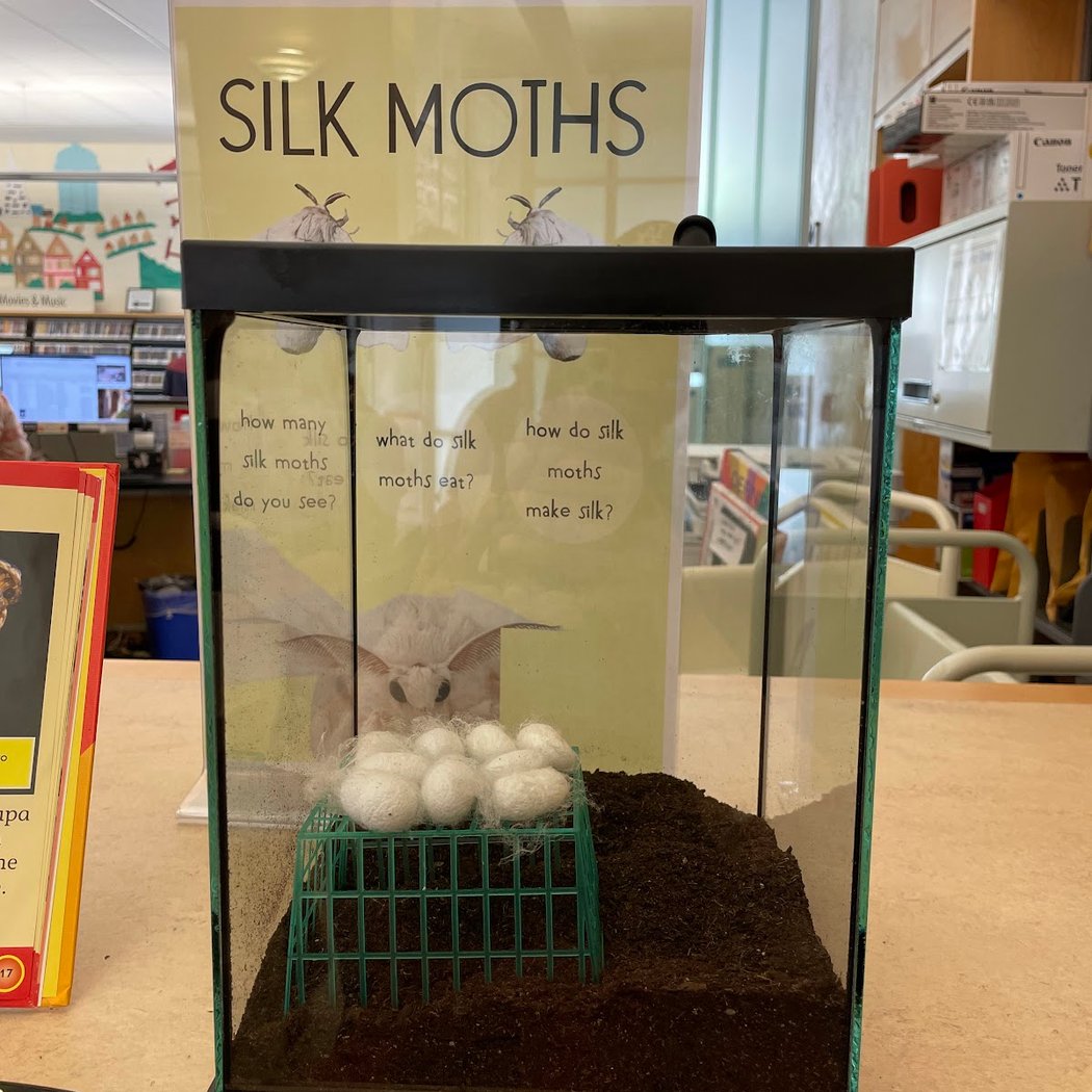 SFPL Excelsior Branch Visit 1