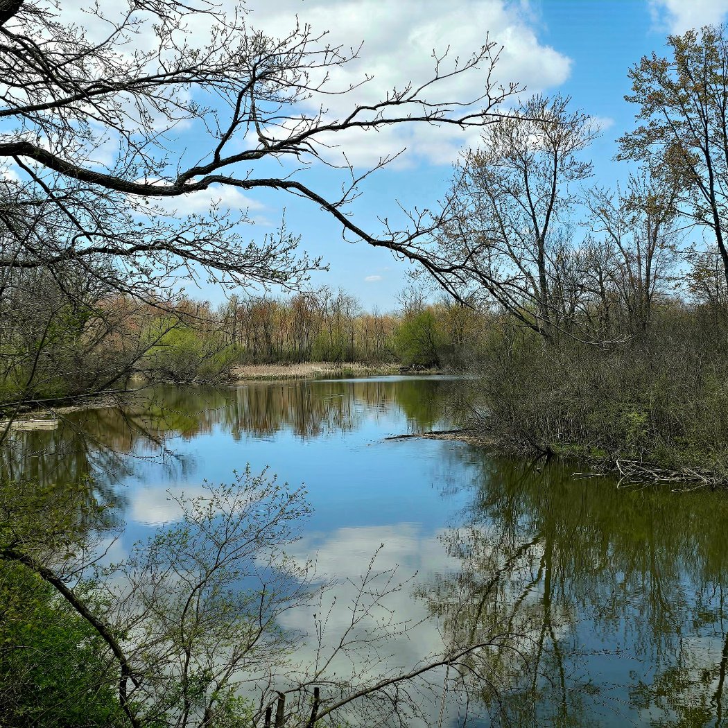 Oakwoods Metropark Nature Center 1