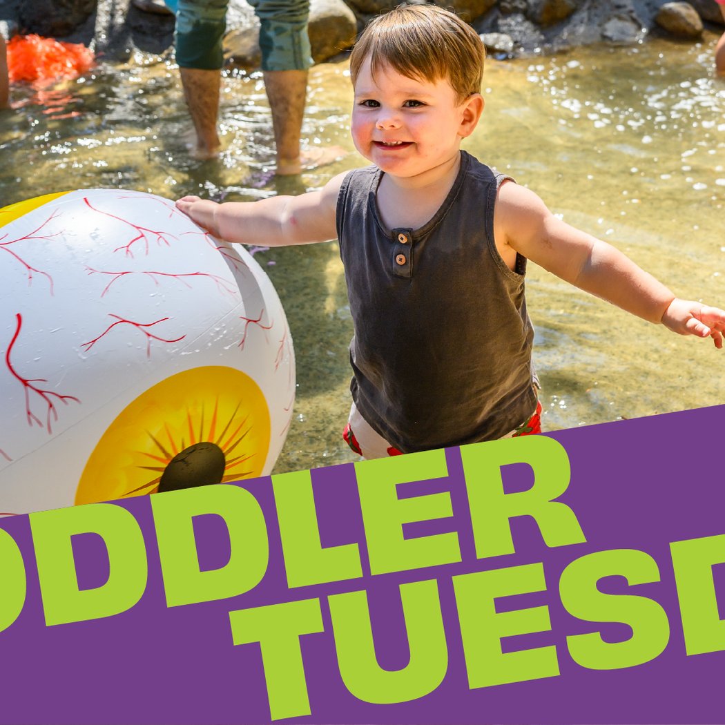 Toddler Tuesday 1