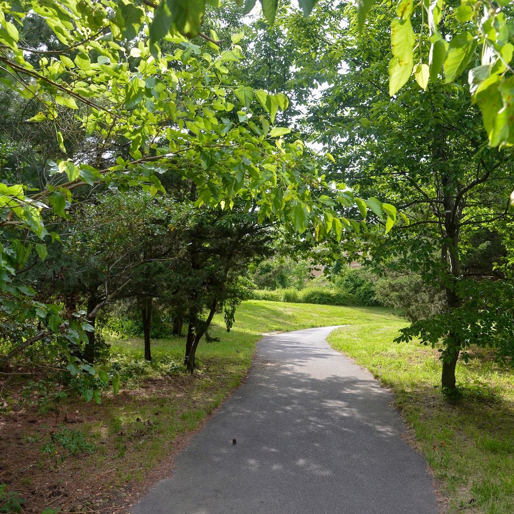 Fresh Creek Nature Preserve 1