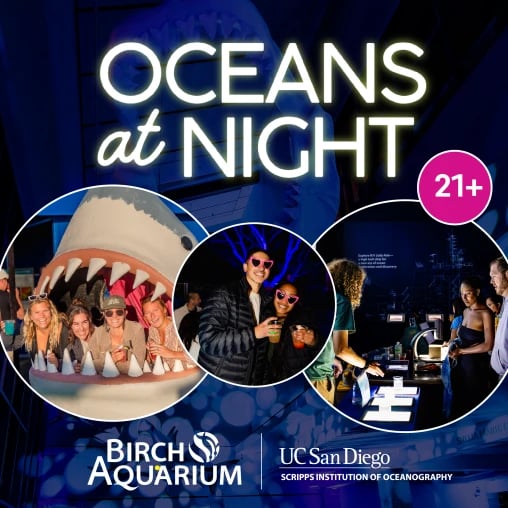 Oceans at Night: Halloween