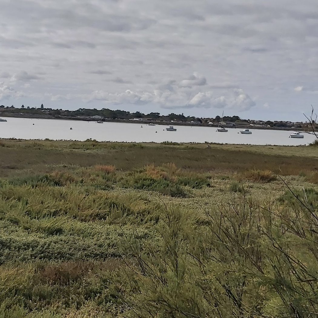 Réserve naturelle de la baie et marais d'Yves 2