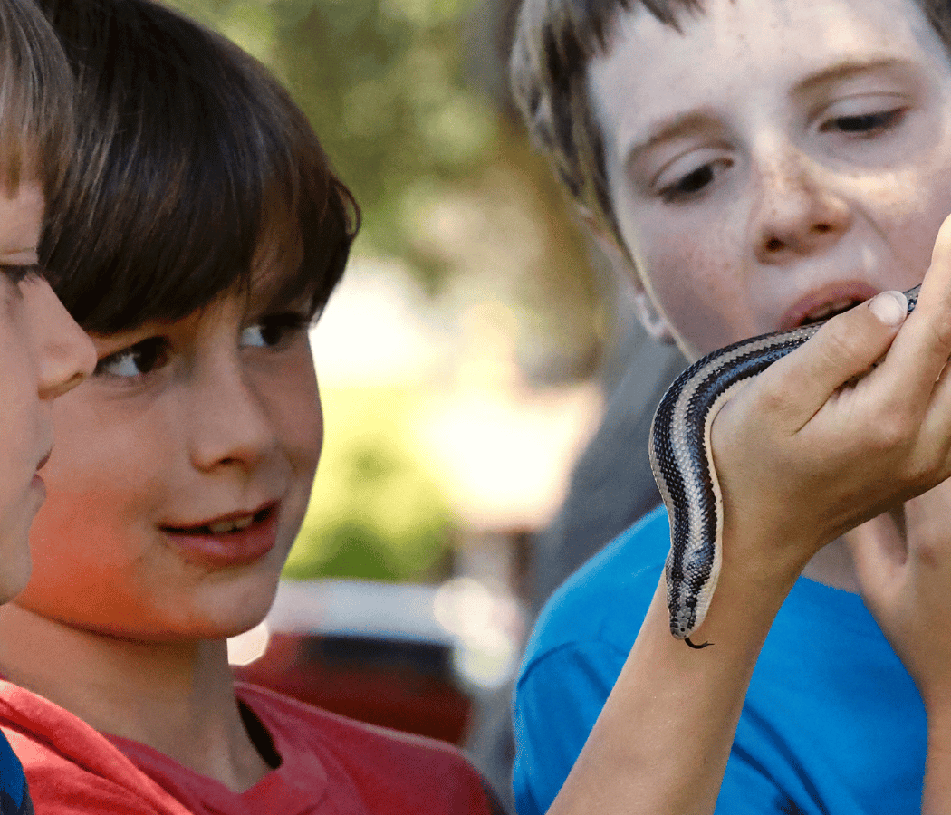 Herpetology First Friday 1