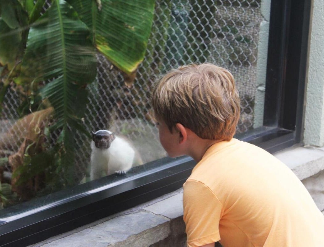 Chattanooga Zoo 3