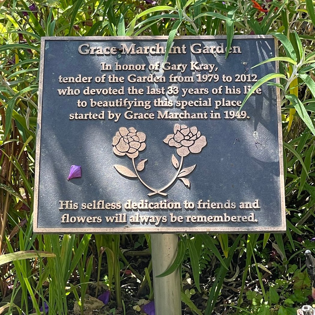 Grâce Marchant garden 2