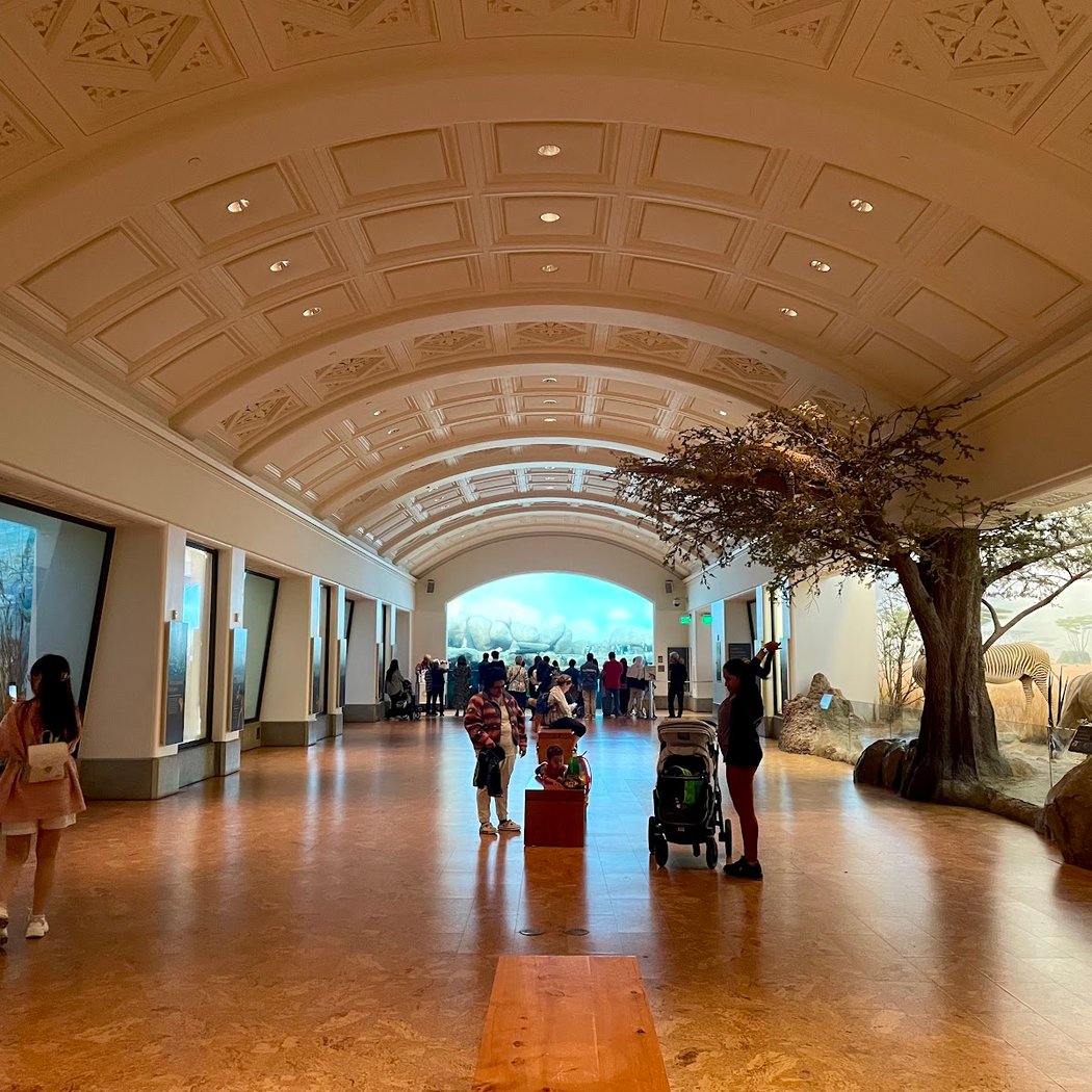 Tusher African Hall 2