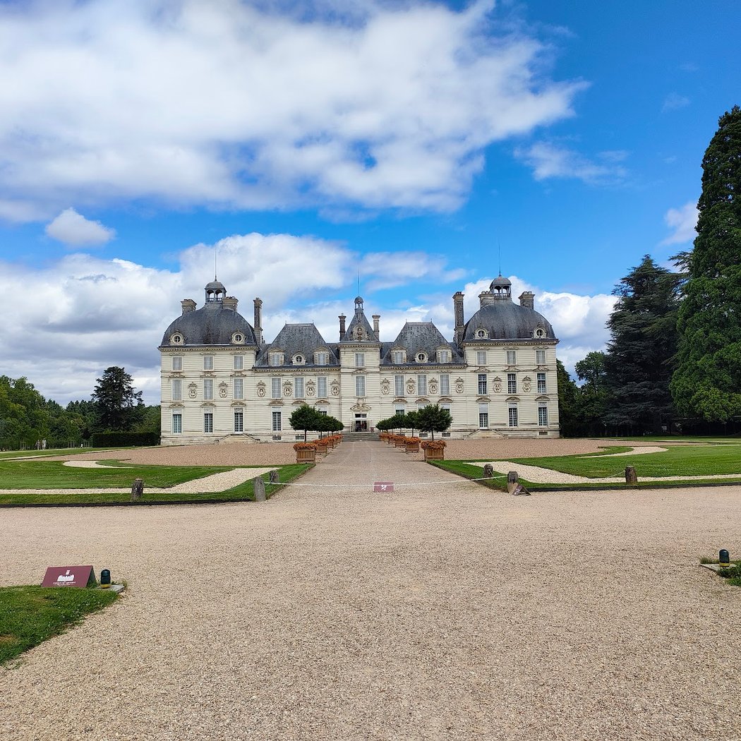 Le jardin de tulipes 2