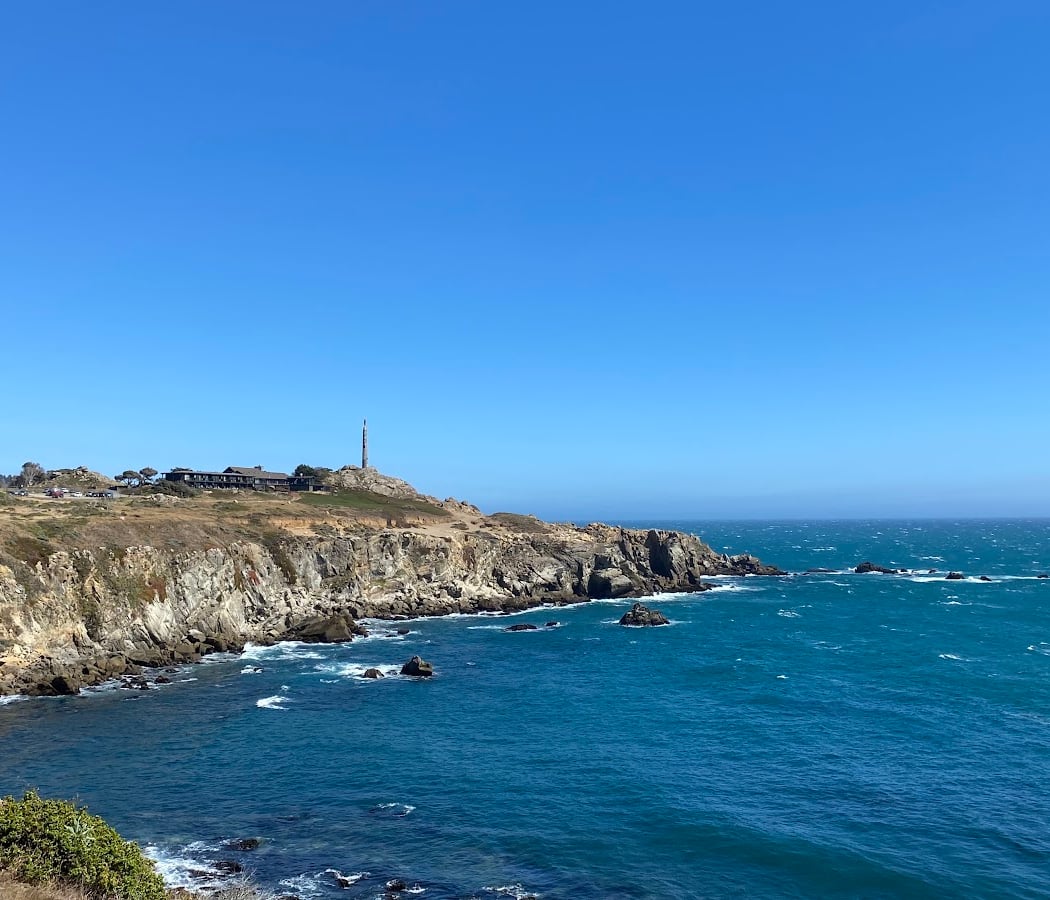 Timber Cove 2