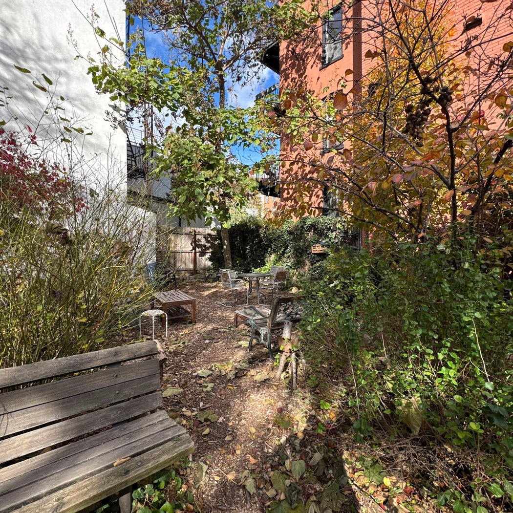 Winter Garden Project 3