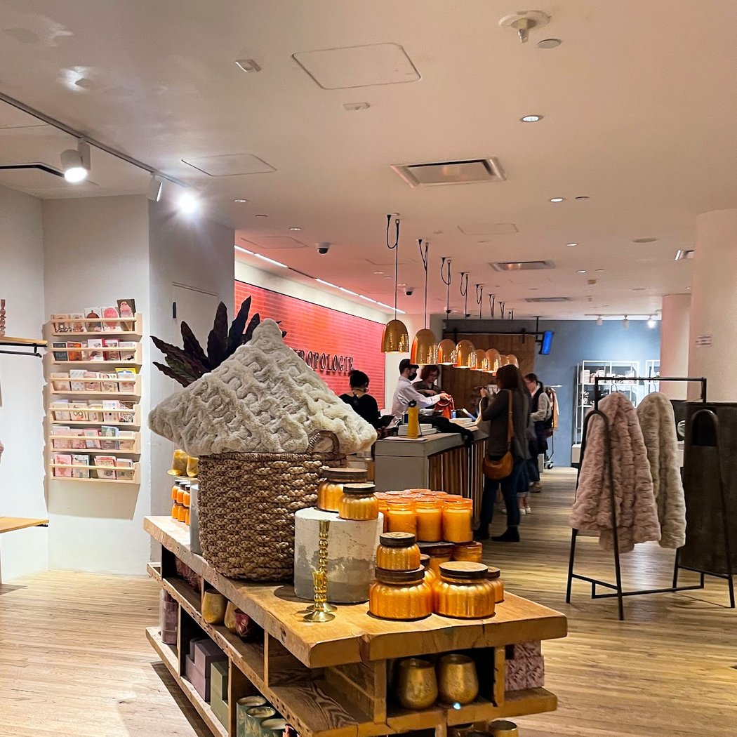 Anthropologie 3