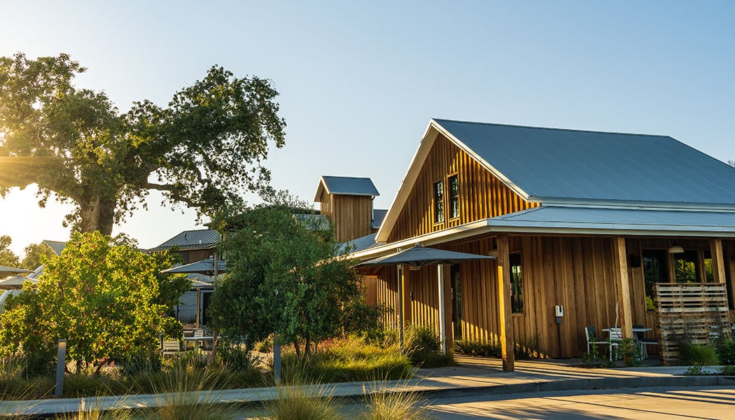 Elusa Winery Sip & Shop 2