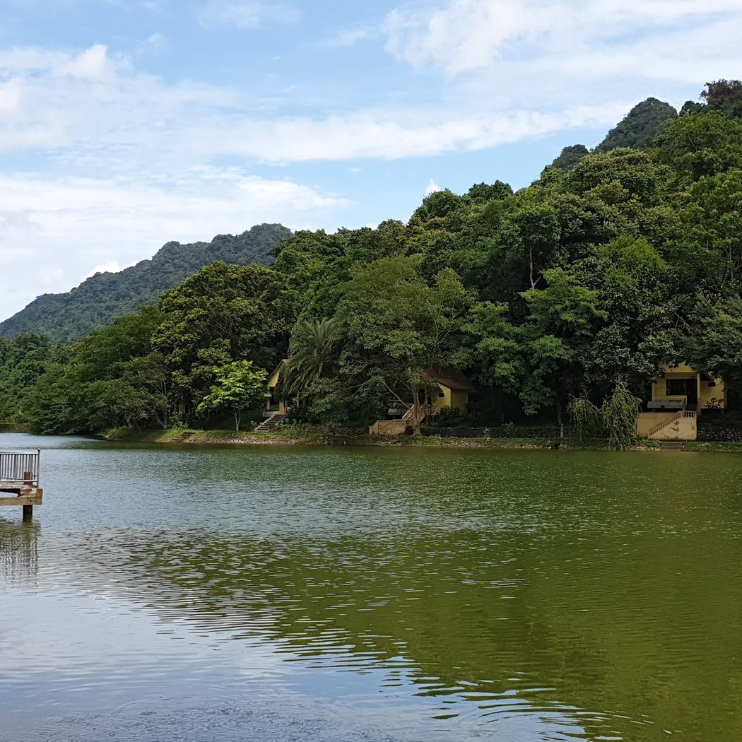 Cuc Phuong Jungle Paths 2