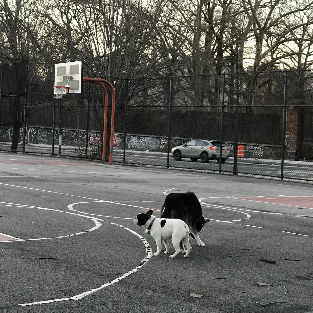 Steuben Playground 2