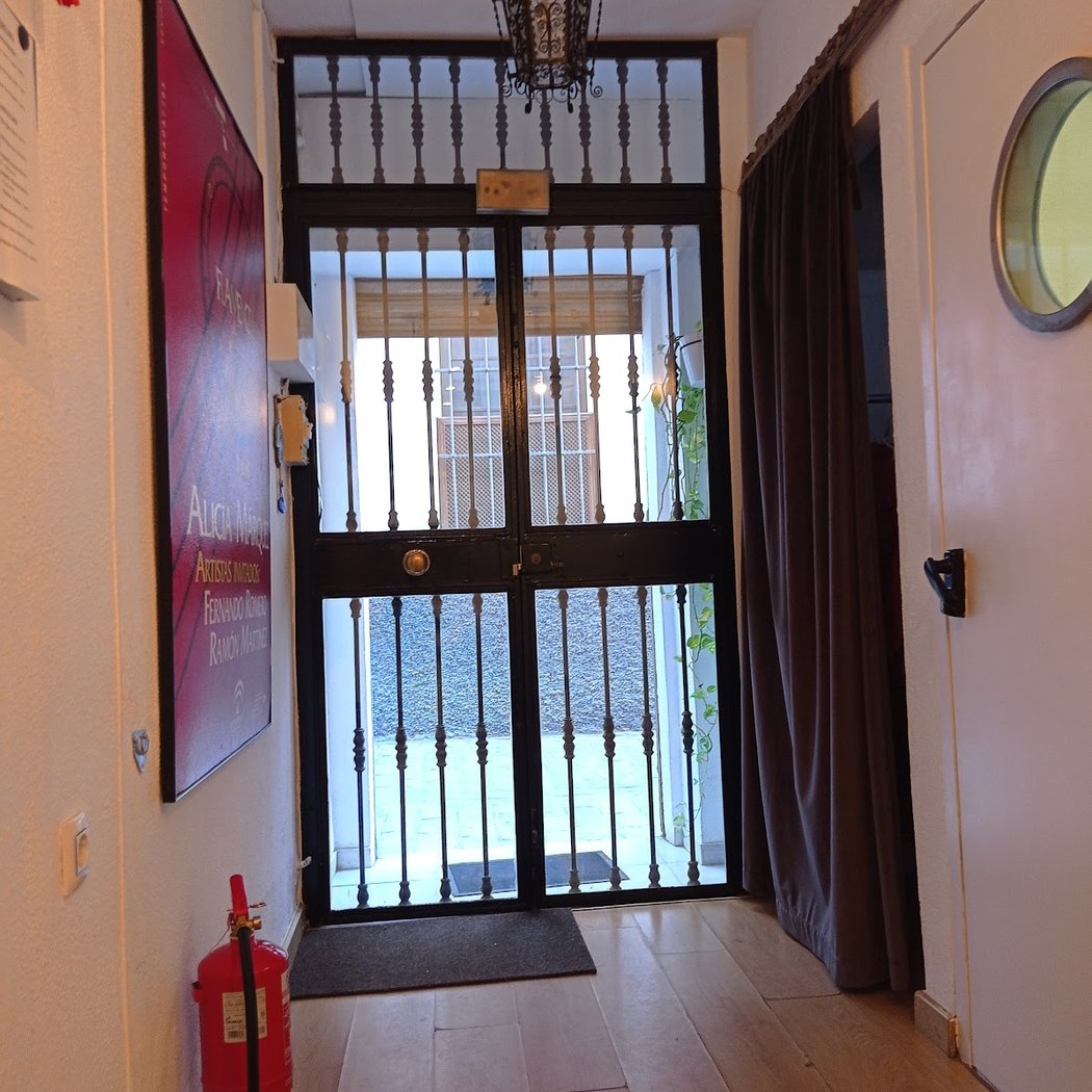 ALICIA MARQUEZ DANCE STUDIO IN SEVILLE 2
