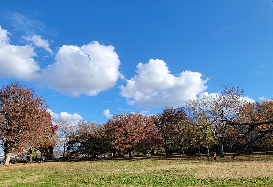 Mount Vernon Square 1