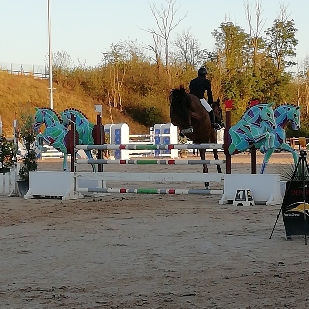 Parc Du Cheval Rhône-Alpes 3