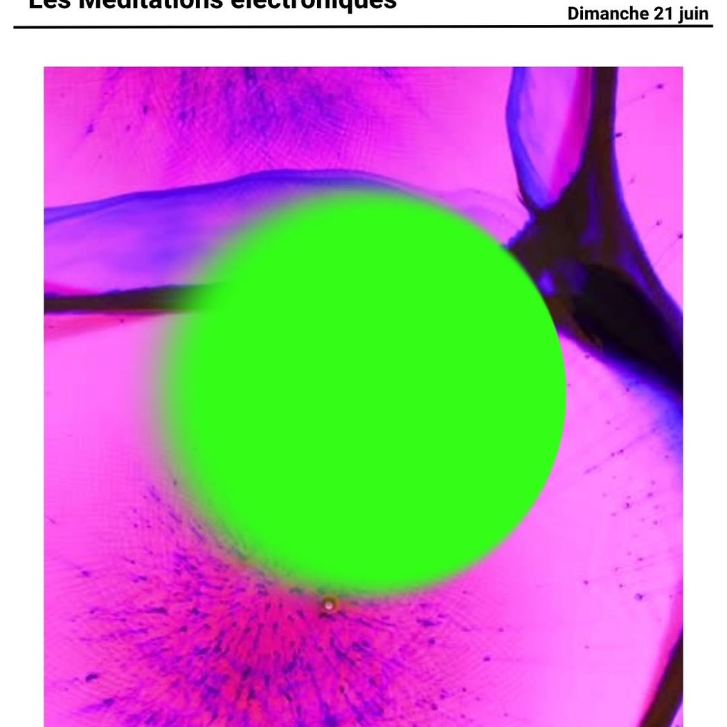 Les Méditations électroniques 1