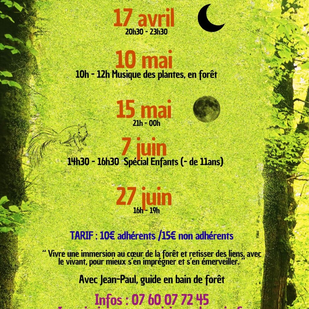 Bain de forêt spécial enfants 1