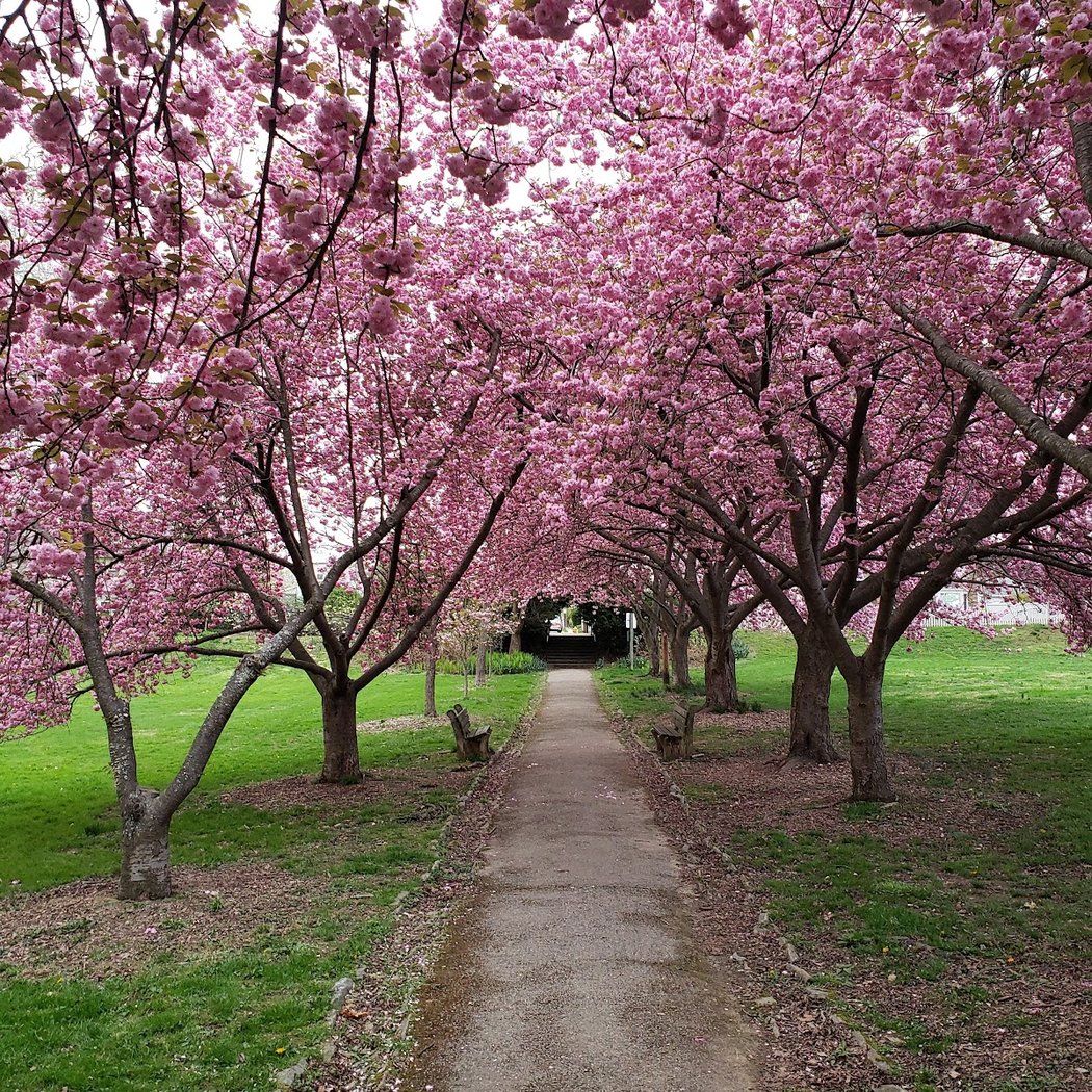 Everhart Park 1