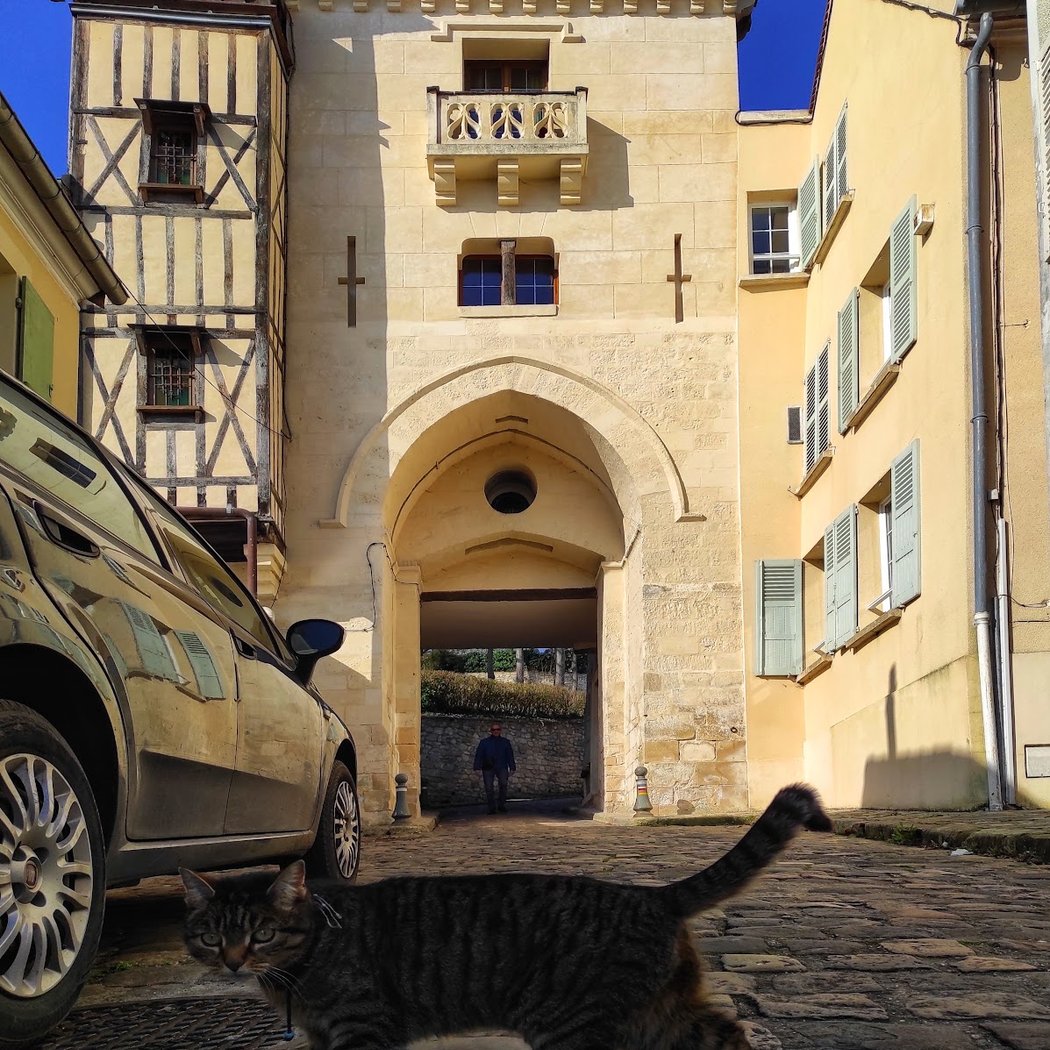 Porte Sainte Côme 3