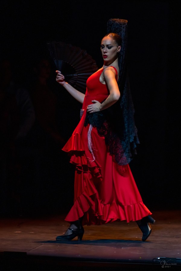 Carmen 3