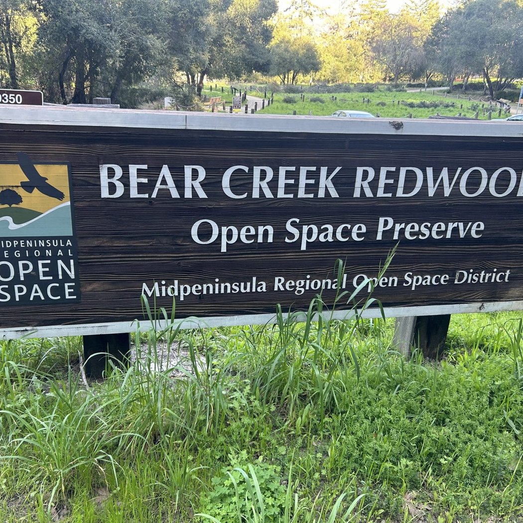 Bear Creek Redwoods Open Space Preserve 2