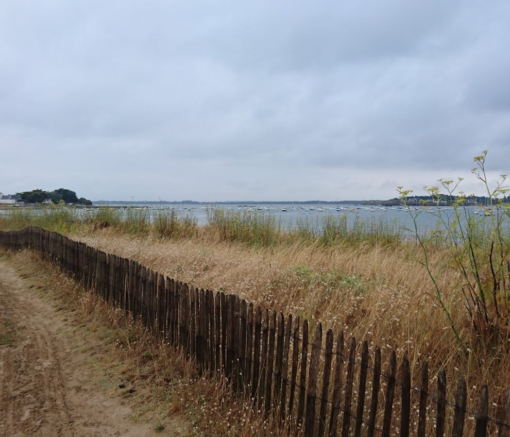 Triathlon et SwimRun Mesquer-Quimiac 1