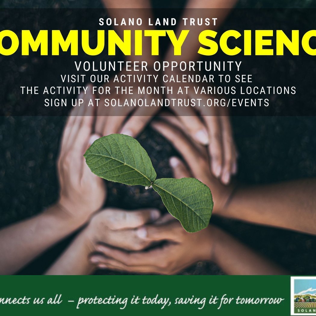 Community Science Volunteer Opportunity - December 1