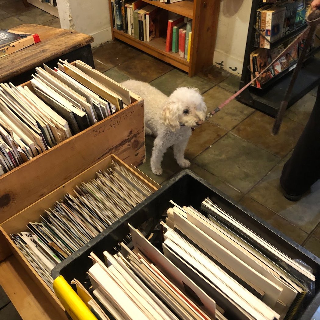 Every Last Friday: Book Shop Comedy 3