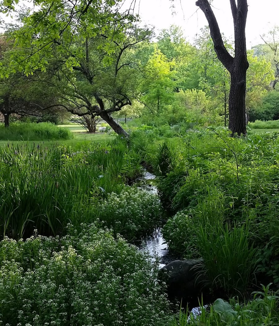 Wellesley College Botanic Gardens 1