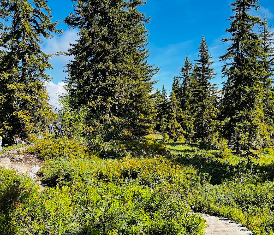 Sentier flore et milieux naturels 2