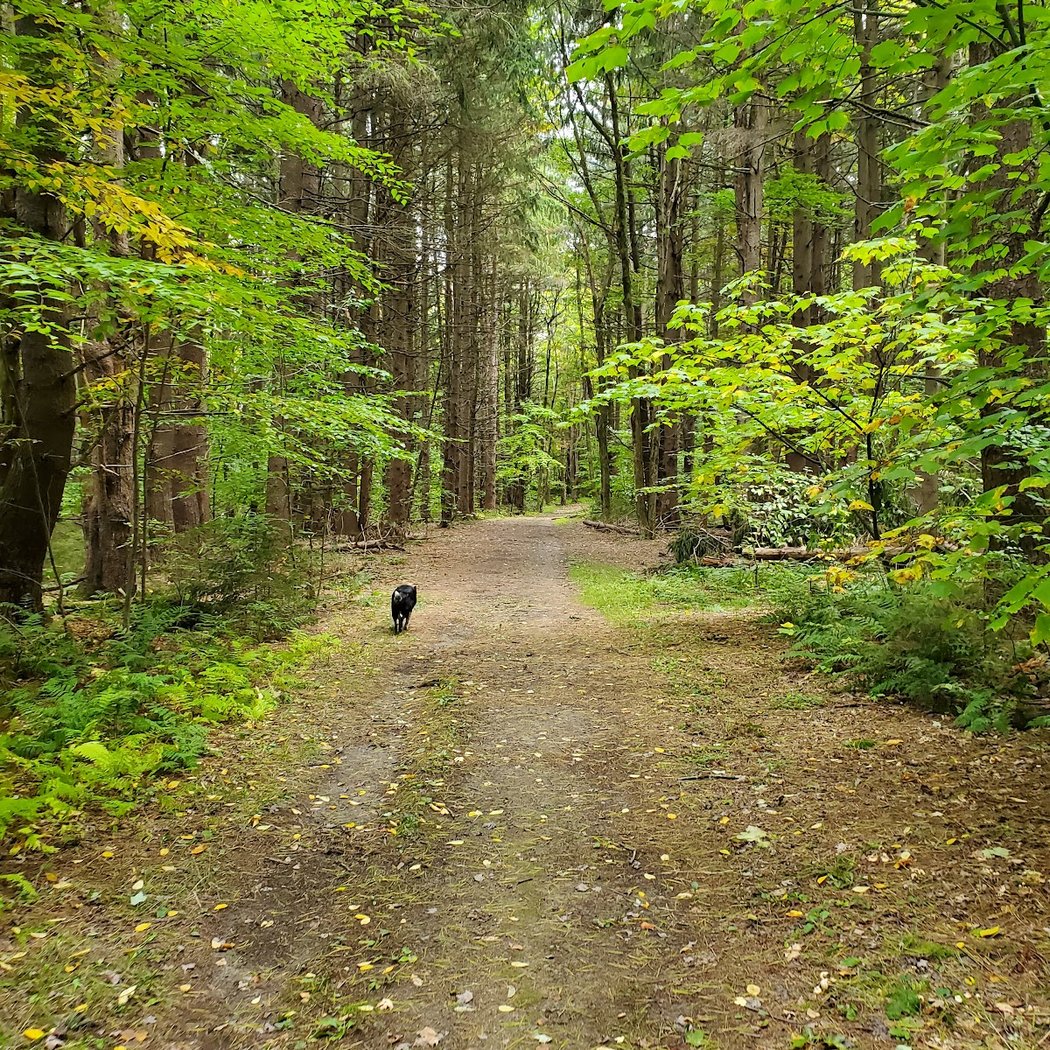 Harriet Hollister Spencer State Recreation Area 3