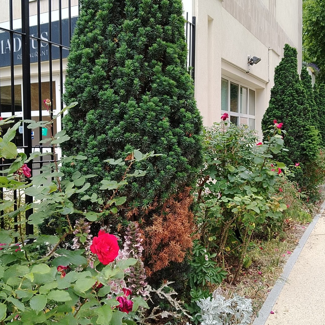 Parc Mozart 3