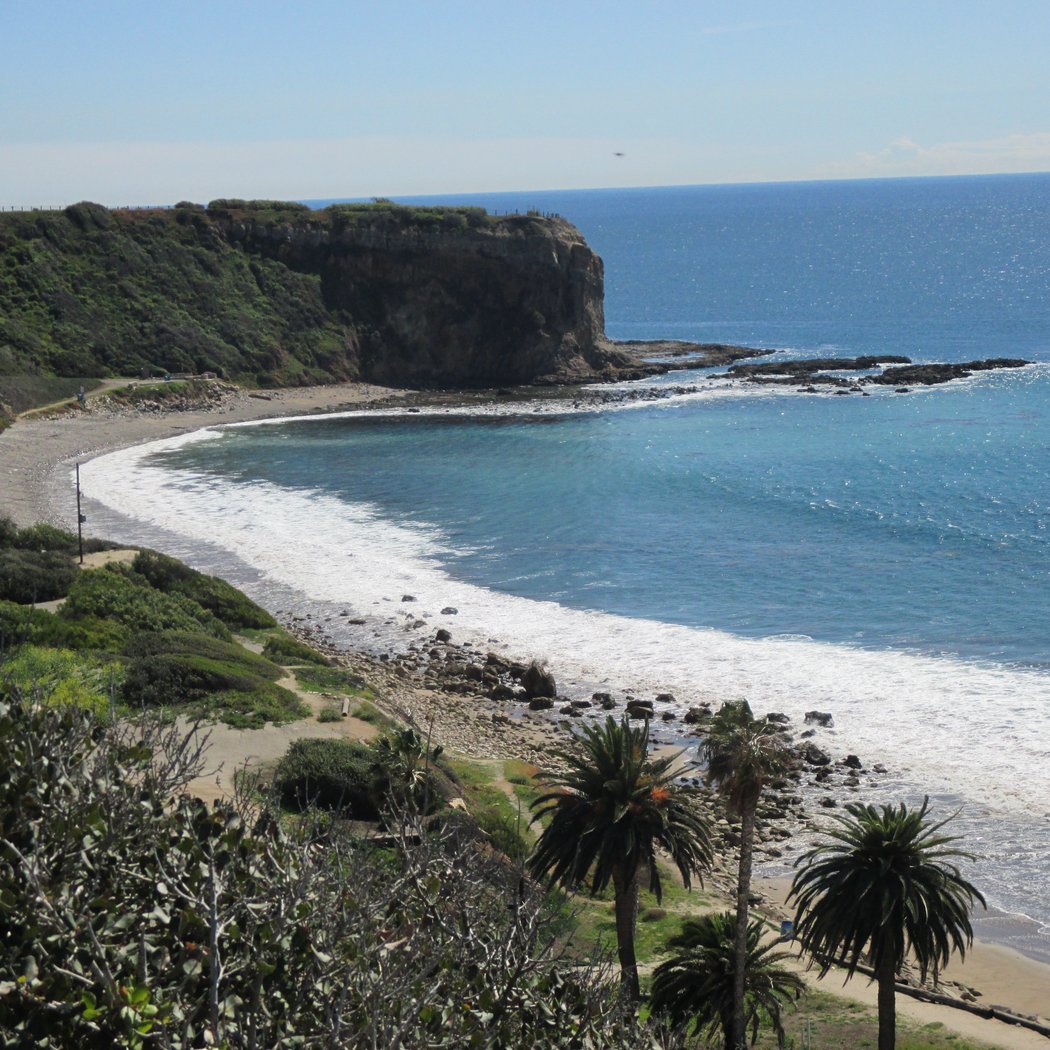 Abalone Cove Reserve Guided Walk 4