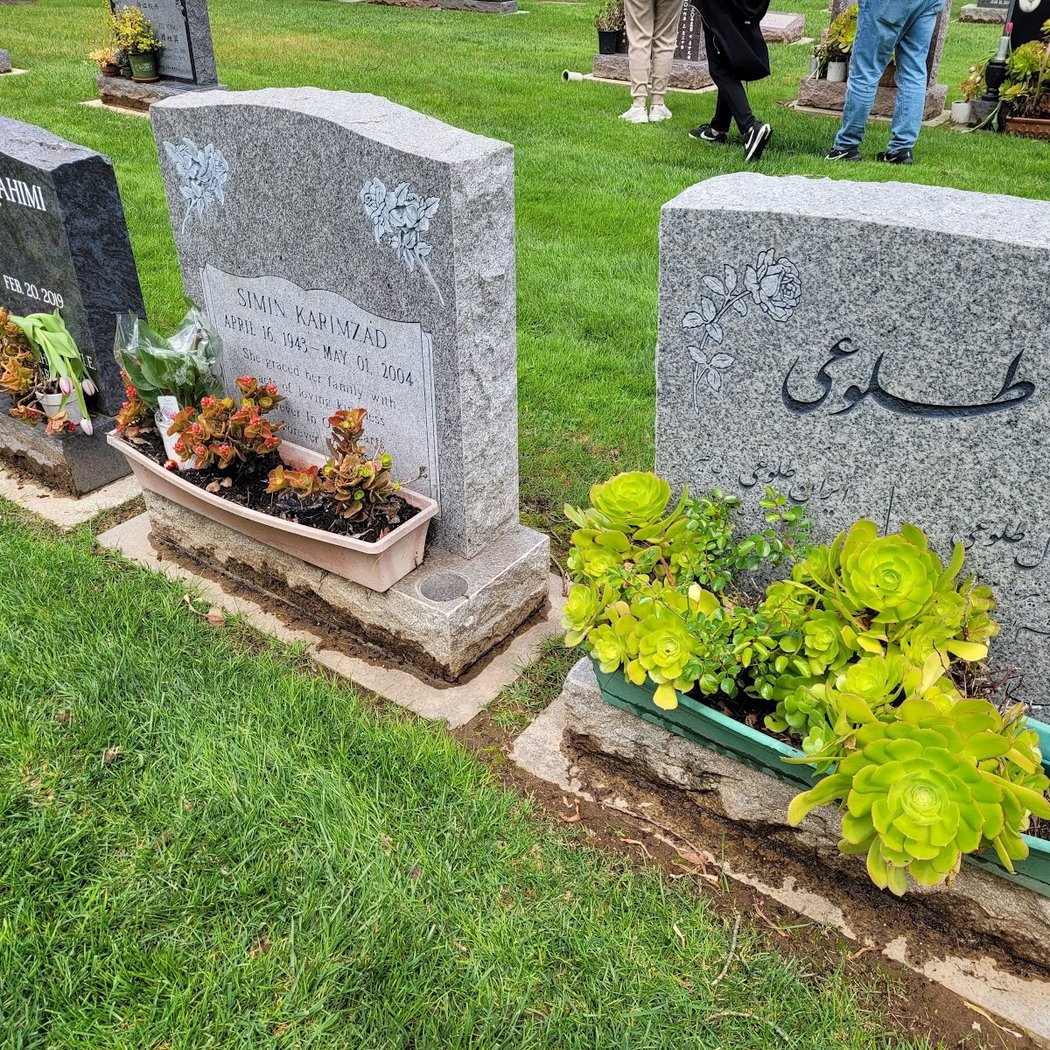 Madronia Cemetery 2