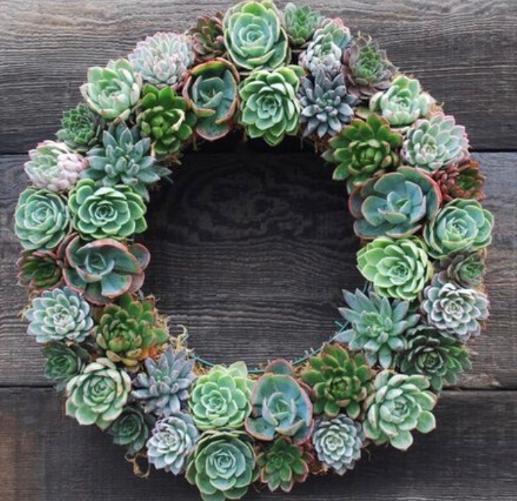 Floral Workshop: Springtime Succulent Wreath 1