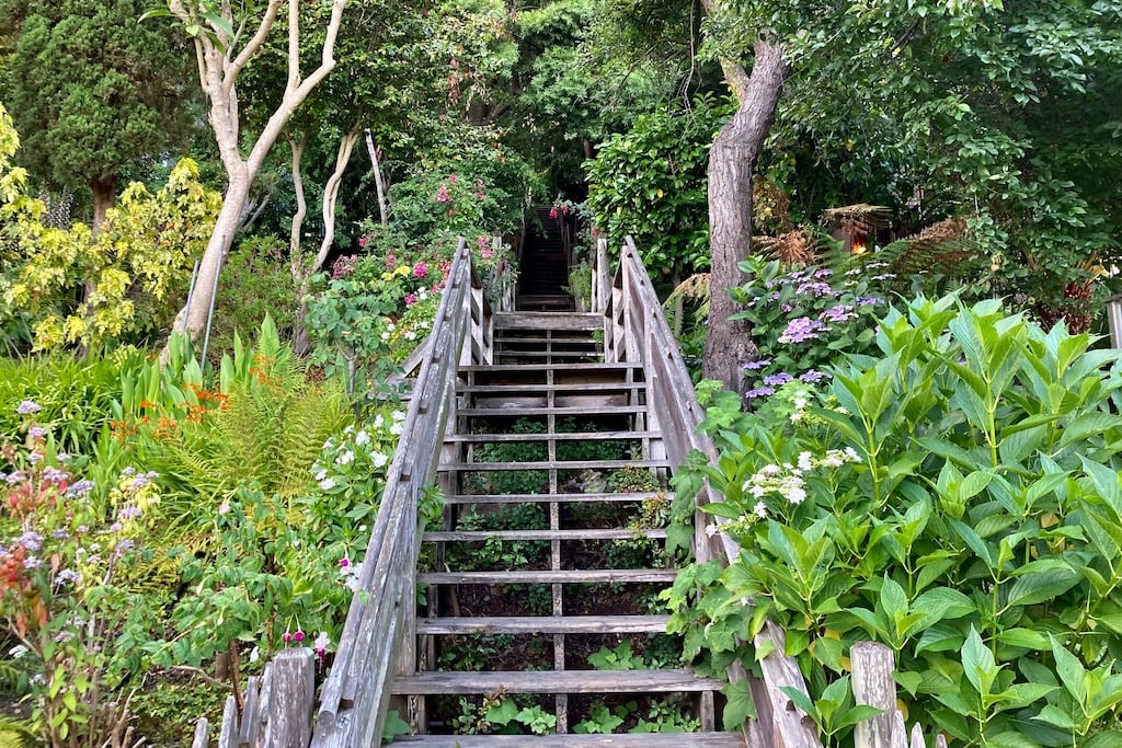 Telegraph Hill 5