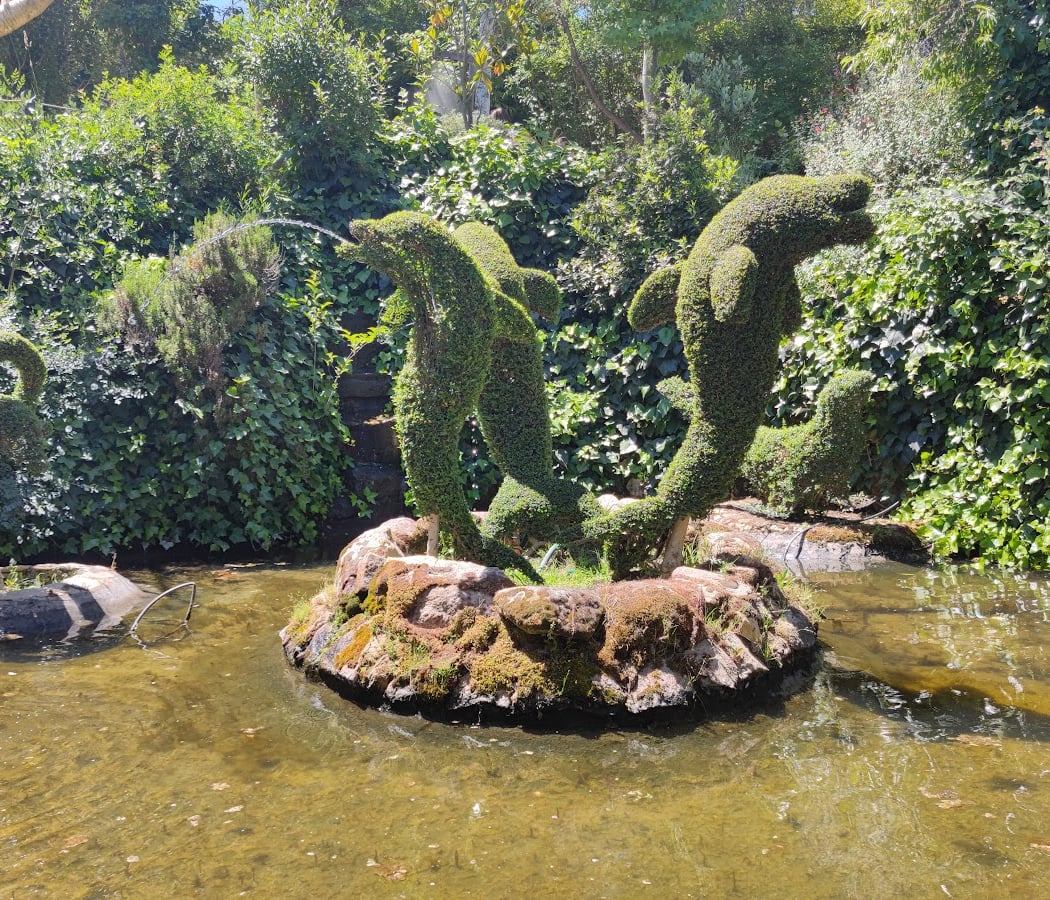 El Bosque Encantado 1