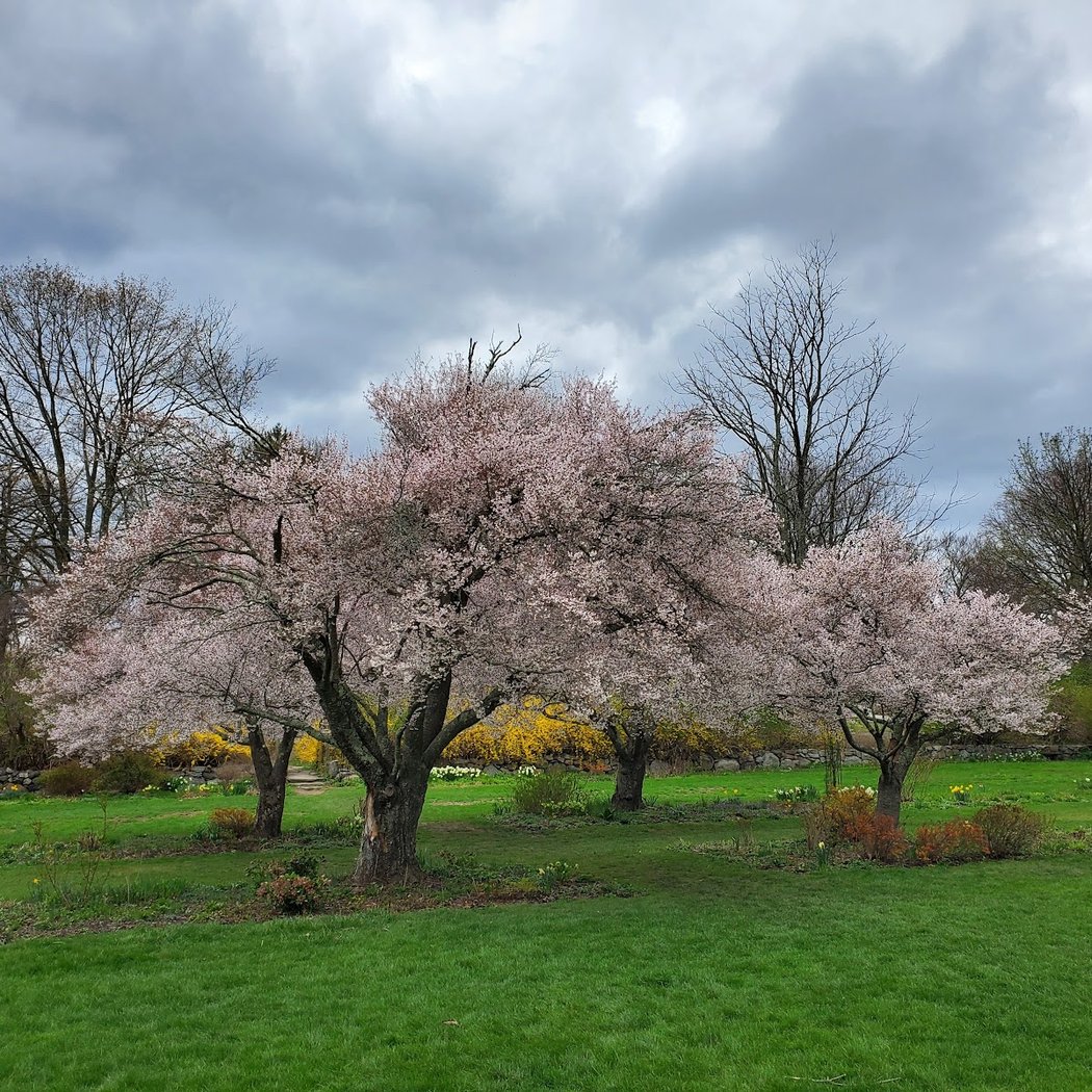 New Jersey Botanical Garden 2