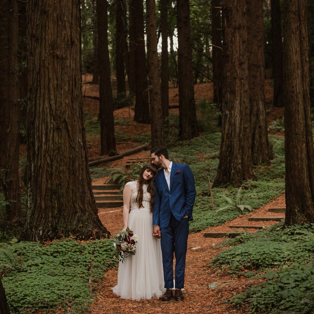 Redwood Grove Amphitheatre 2