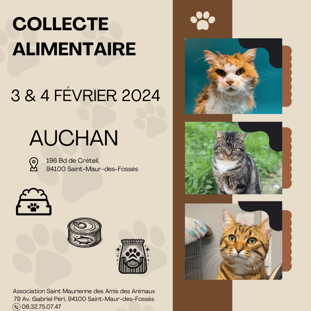 Collecte Alimentaire 1