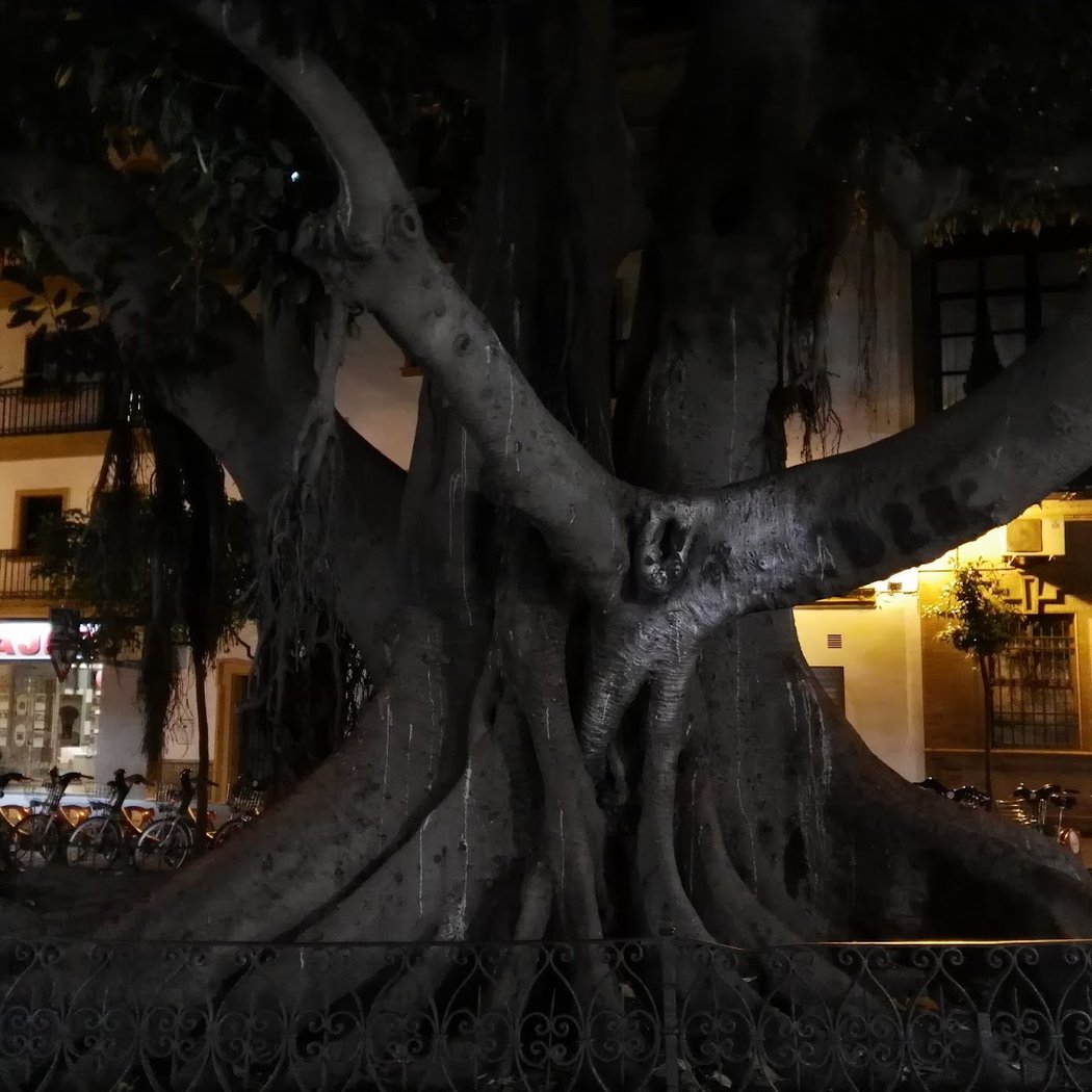 Ruta de las Brujas de Sevilla 3