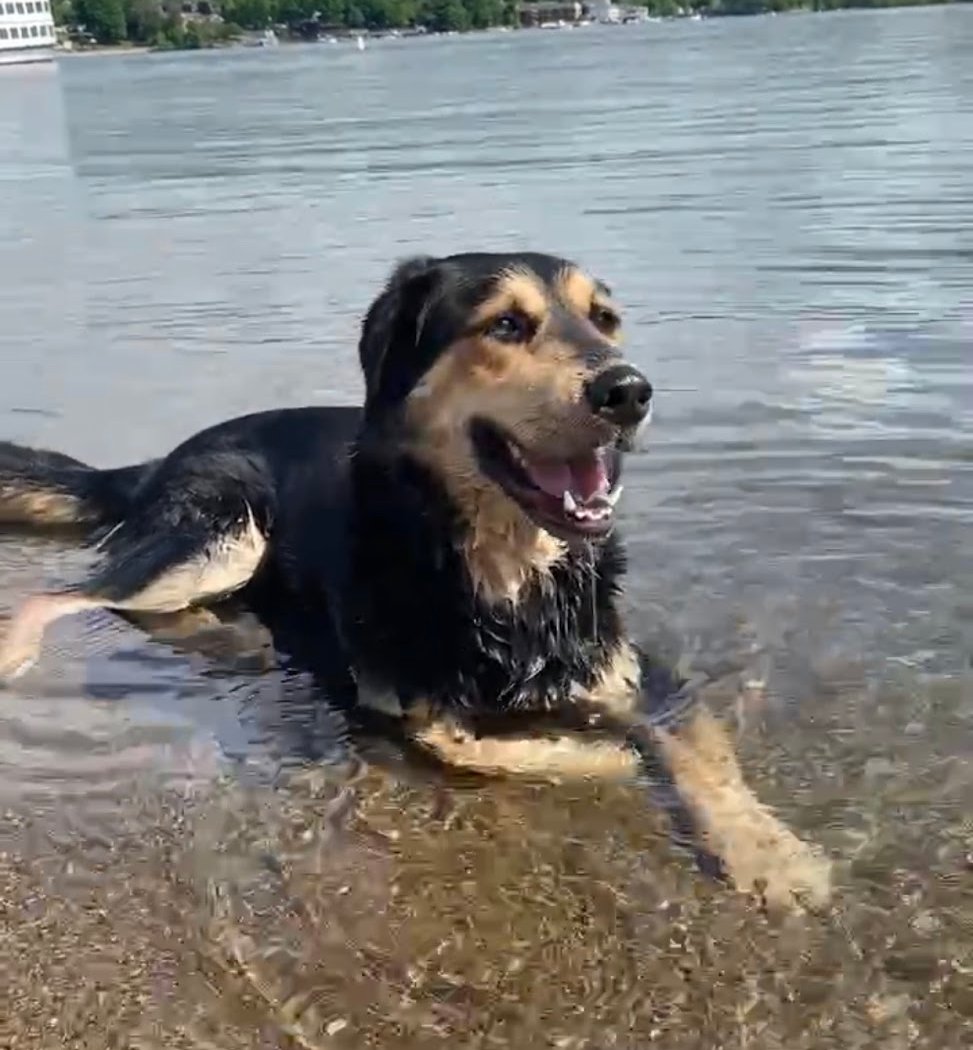 Lake George Dog Beach 1