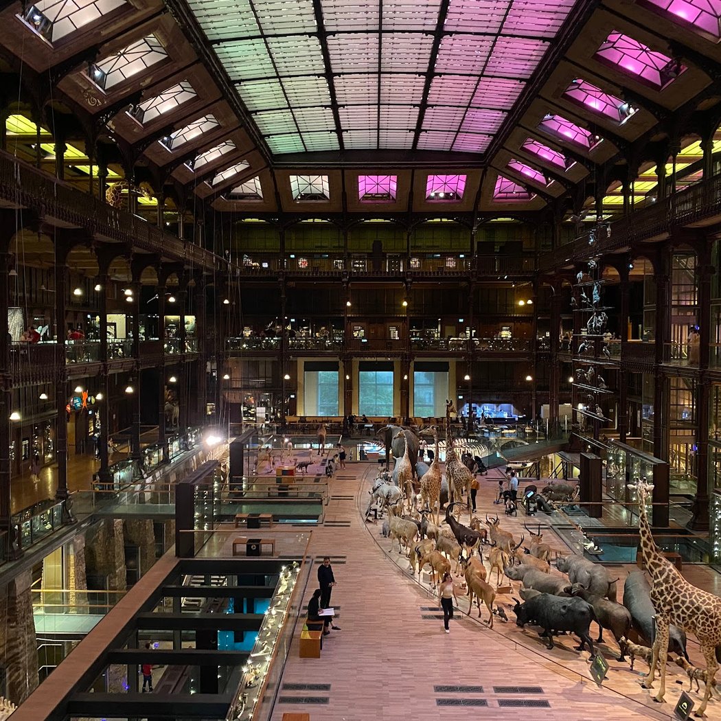 Nuit des Musées 2025 3