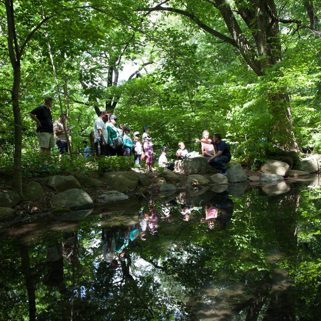 Mid-Winter Recess Nature Education Programs 3