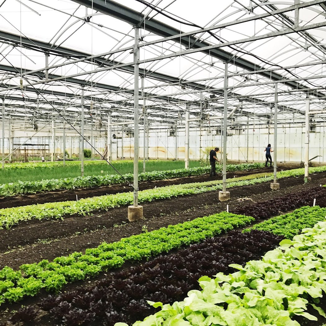 Stone Barns Center for Food & Agriculture 3